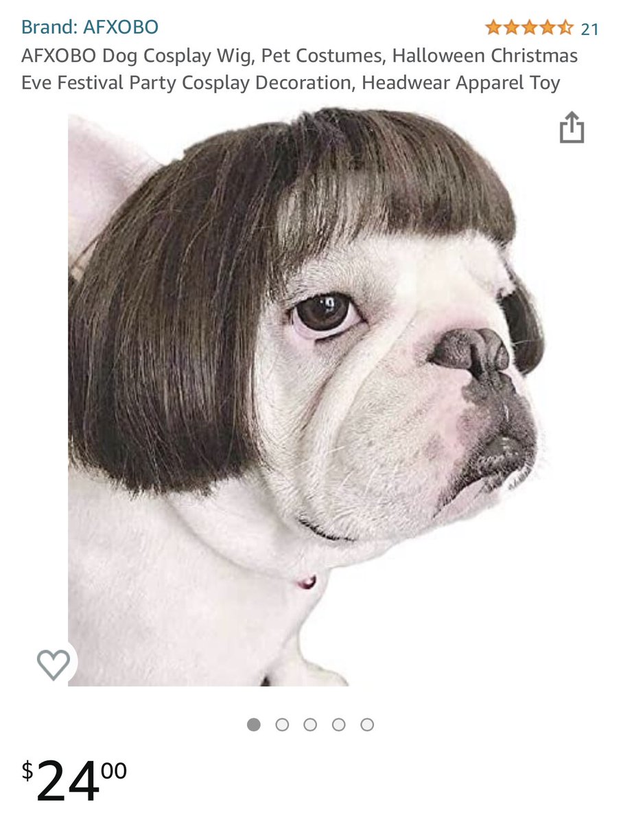 crwcreative's tweet photo. Edna Mode/Anna Wintour dog wig. Amazon find of a lifetime. https://t.co/X2nLVxP2Ug