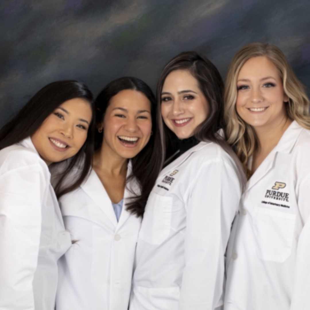 pucvm's tweet photo. A sincere thank you for the extraordinary generosity of everyone that supported the next generation of DVMs by sponsoring their white coats!
Thank you!
#ClassOf2023 #AlmostDoctors #PVMFamily #BeAPurdueVet #purdueuniversity
@LifeAtPurdue https://t.co/awWDGm1nWZ