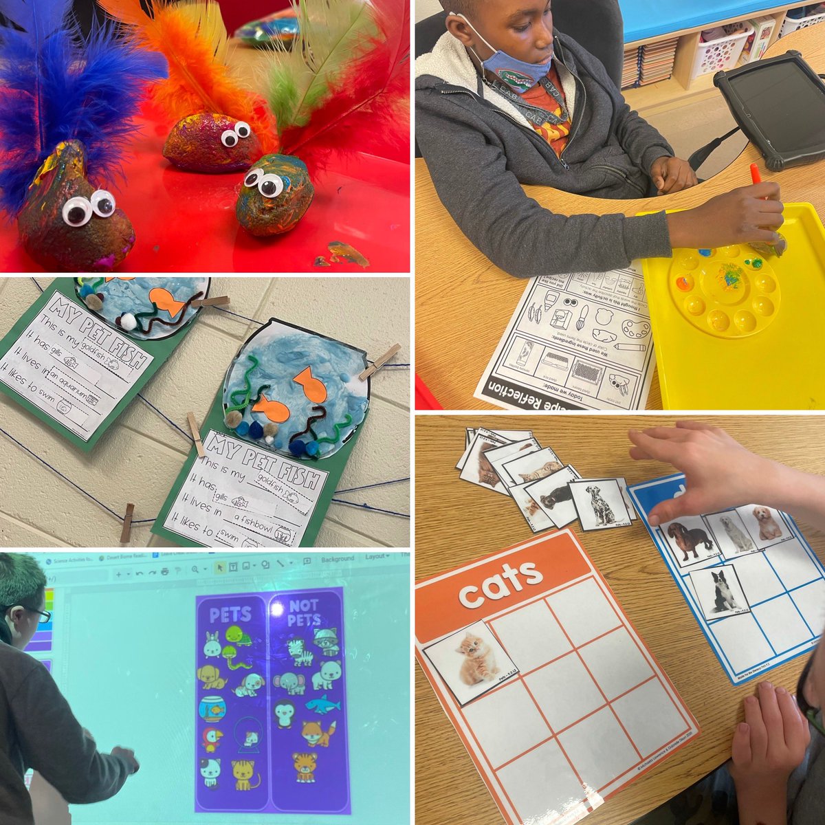 March’s theme in room 313 was all about PETS! 🐶🐱 
We celebrated the end the unit by making and naming our own pet rocks ❤️