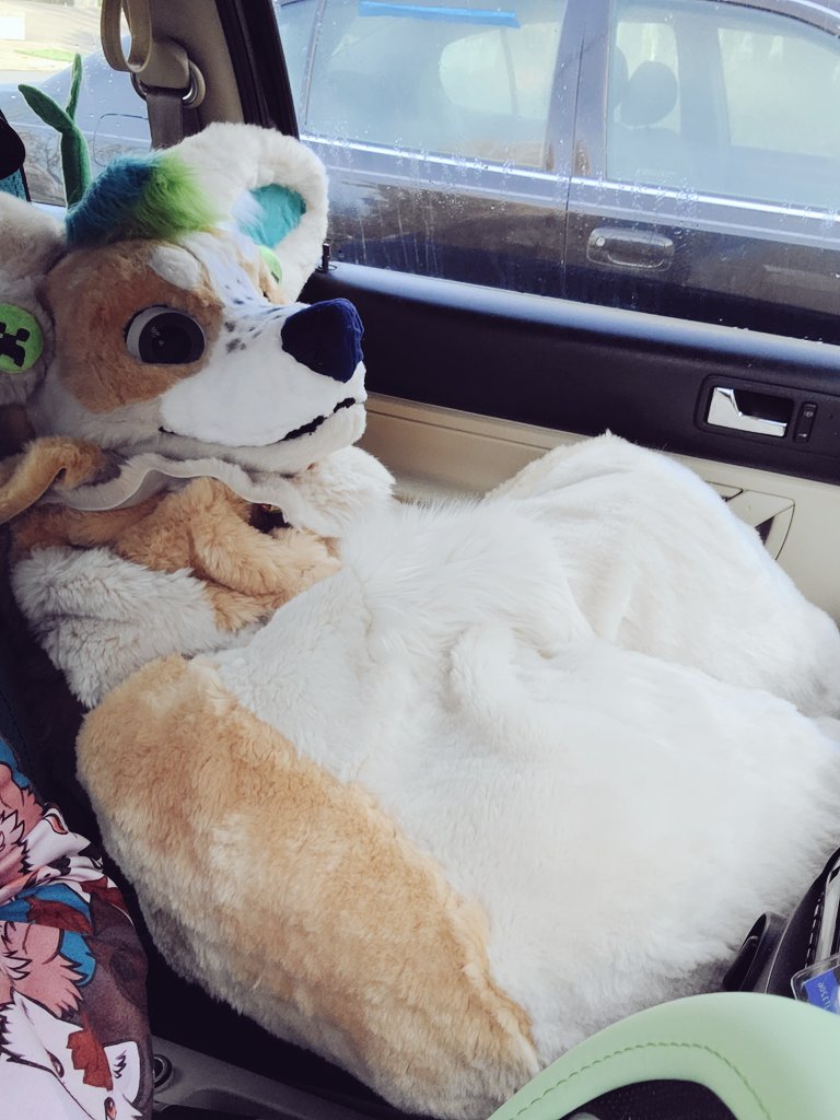 LIVE STREAM 🔴 

IT IS TIME!!

final day of our <a href="/StarlightUS/">starlightUS</a> <a href="/WildAbandonTeam/">Wild Abandon</a> charity push!
We are so so close to our end goal 💚
Fursuit shenanigans and ghost pepper eating day let's goooooo

twitch.tv/corgicraft

#adhdstreamer #twitch #twitchaffiliate #furry