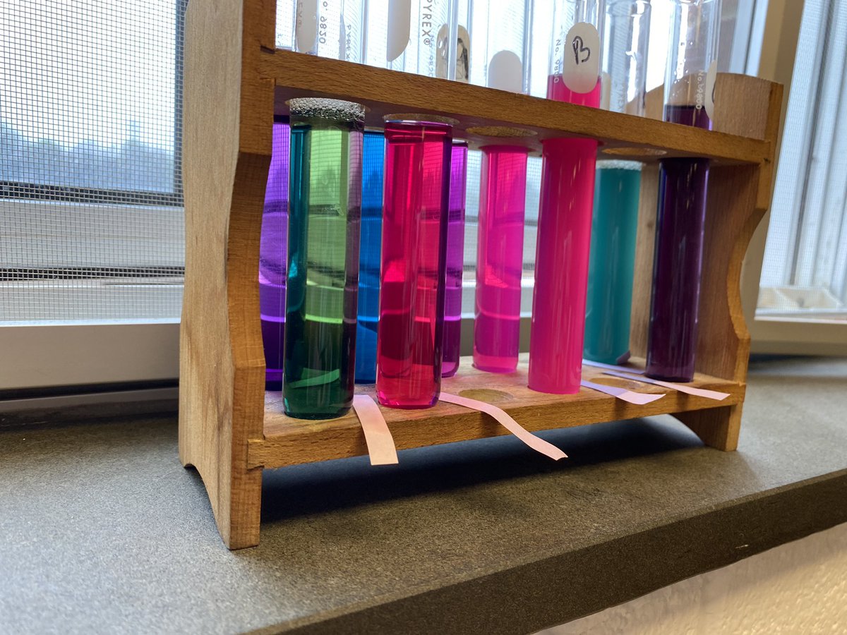 MsFrodyma's tweet photo. A “Greener” pH Indicator lab with anthocyanin extracted from red cabbage! Students estimated pH based on the color change and neutral litmus paper test. Using the true pH, they calculated pOH, [H], and [OH] in various house-hold chemicals. 😍👩🏻‍🔬 #APChem #GoFalcons  @Hastings_Chem https://t.co/iUivLt3GmS