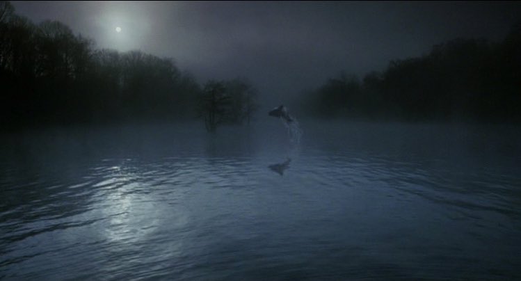TheCinesthetic's tweet photo. Big Fish (2003), dir. Tim Burton
https://t.co/E158MrofOL