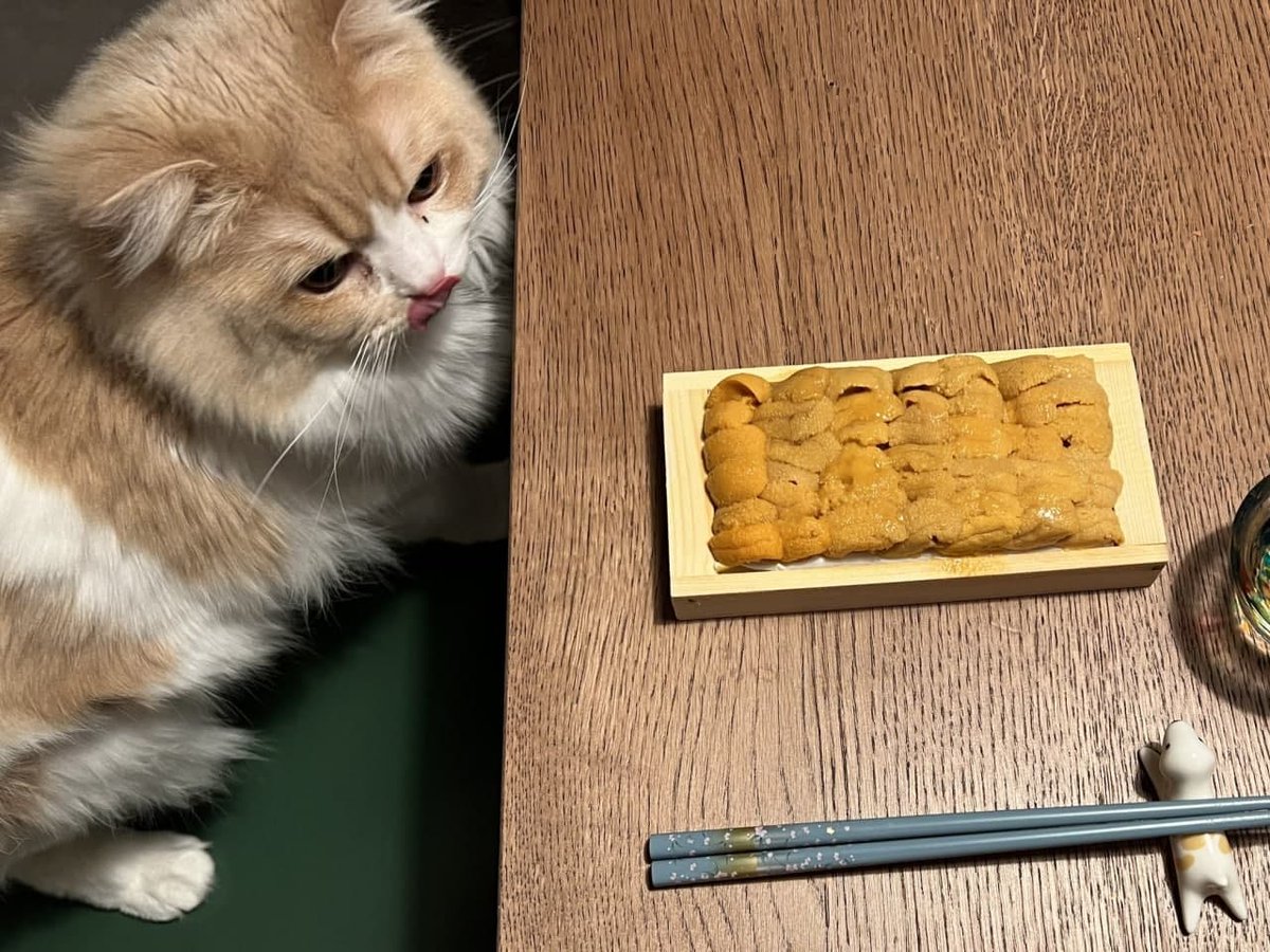 Alison04749581's tweet photo. yum, its look delicious 😂😂 https://t.co/1SzyxCTuyC