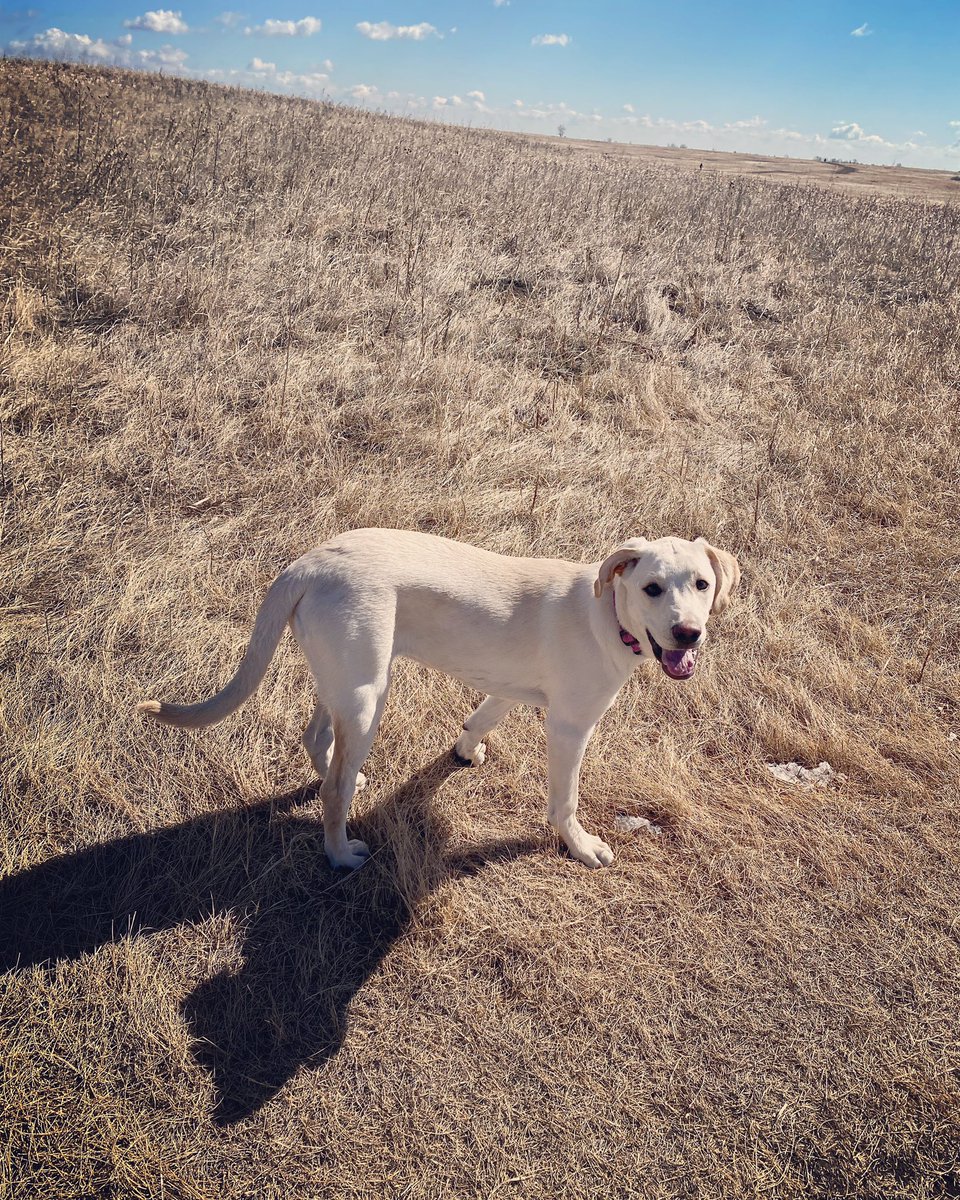 Lots going on in Calgary, in Alberta, in Canada and around the world. 

If anyone needs a moment to pause and appreciate the little things please accept this simple offering. 

Stay well. 

Stay kind.