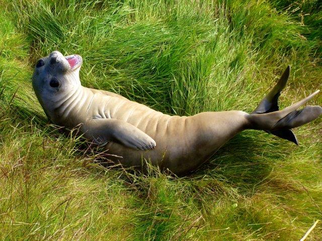 Department of Conservation on Twitter: Department of Conservation on Twitter: