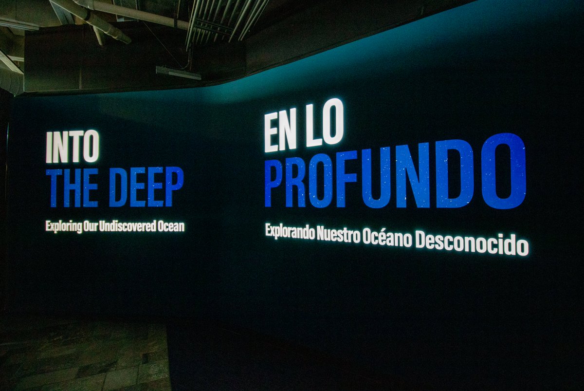 MadisonJPobis's tweet photo. Yesterday I joined some of our amazing @MBARI_News researchers for a preview of the new #IntoTheDeep exhibition @MontereyAq! To celebrate the public opening on April 9, I've awarded some Deep Sea Superlatives 🏆 (1/8) https://t.co/Eh8HcOH7Cm