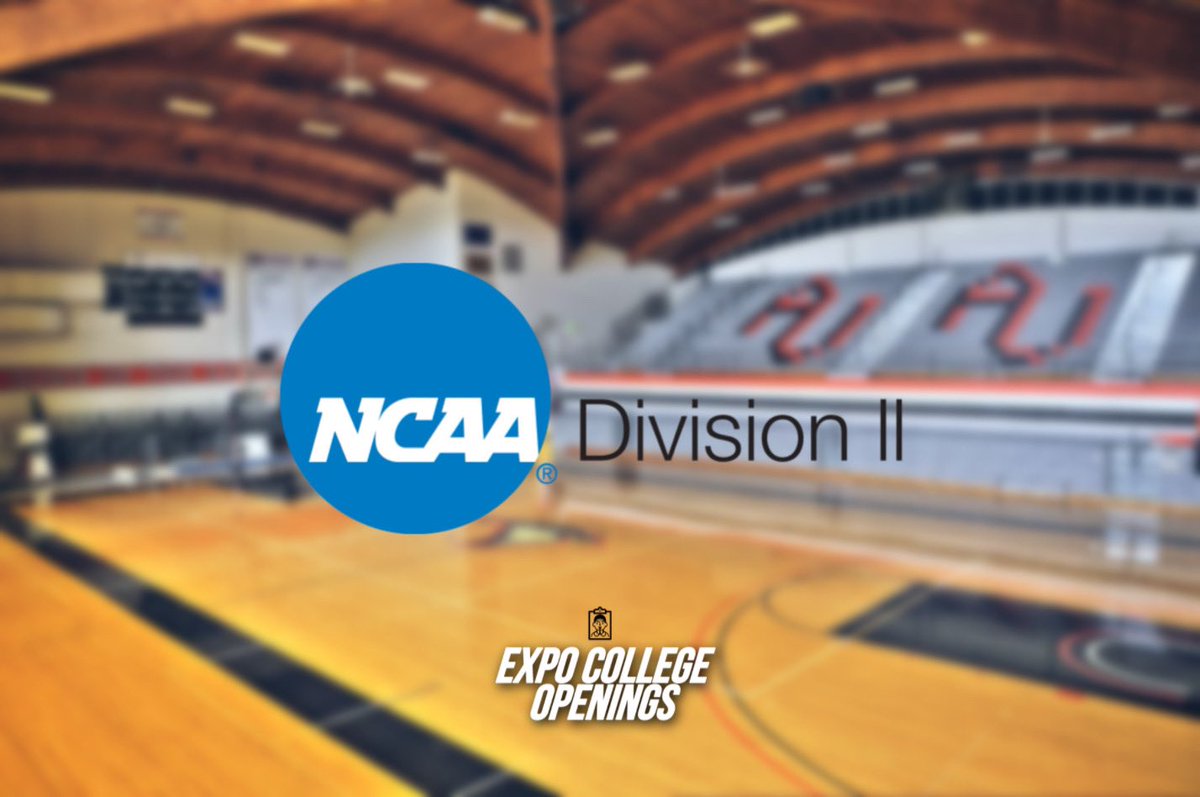 Expo Hoops tweet media