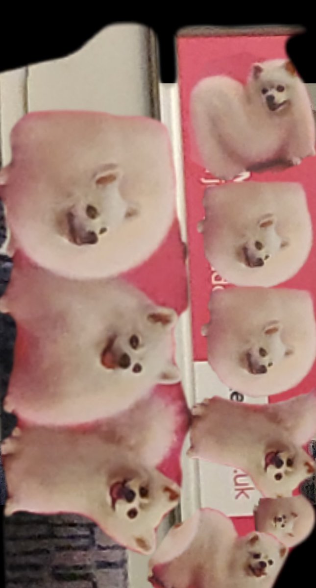 Weddiedon (@weddiedon) on Twitter photo 