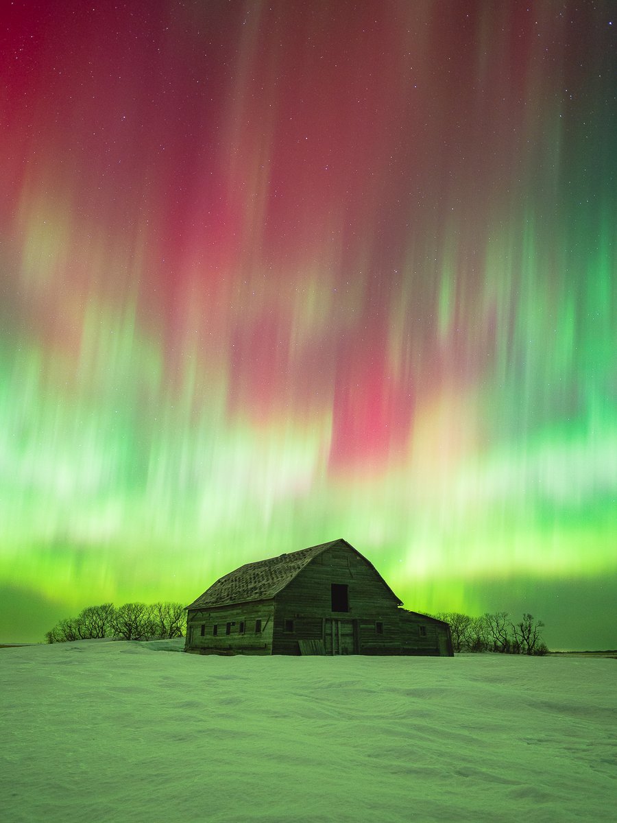 herry_with_an_e's tweet photo. Last night's G1 event brought some of the most incredible reds to the night skies. 🩸✨ #AuroraBorealis #NorthernLights https://t.co/ZfLGuZIZoJ