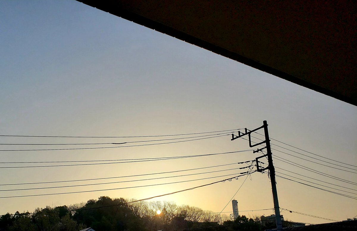 今朝は雨なので…☔ ではなく、昨日の 昨晩の は…ご時世的に海外へも行けず、せめて気分だけでも…と思い さんへ🇻🇳 久々の 美味😋🍴 https://t.co/sTF3kCyO5j