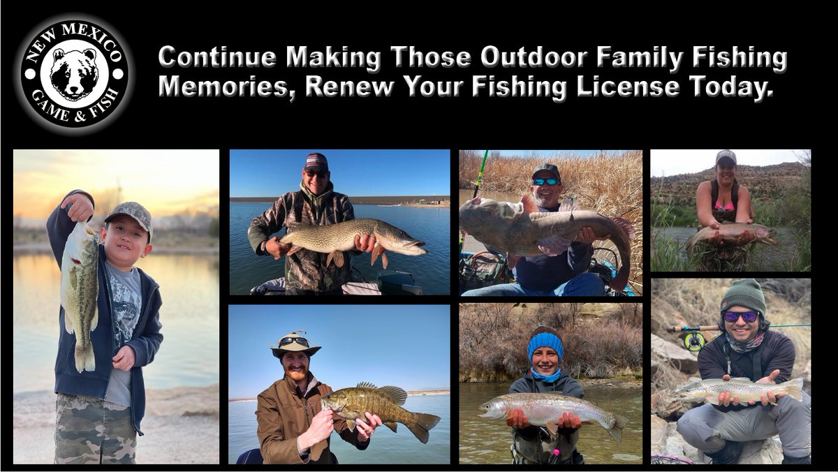 NMDGF's tweet photo. Don't forget to renew your fishing license. New Mexico's license year runs from April 1 to March 31 each year. #fishnm #wildnm https://t.co/JgbJpJizTV