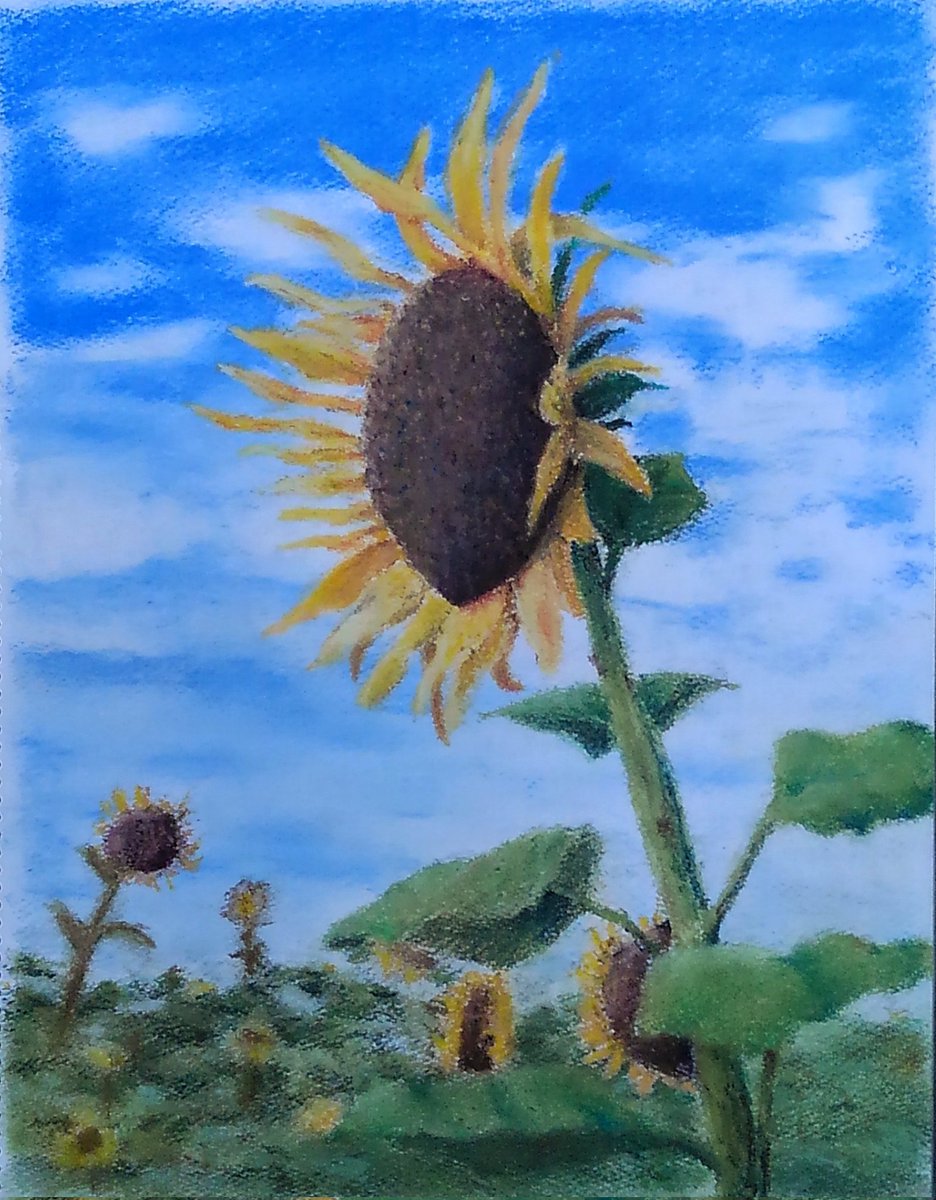 油絵, 夏, あじさい, ひまわり, ご機嫌 油絵, 夏, あじさい, ひまわり, ご機嫌 陽を体に透かせて昇る
