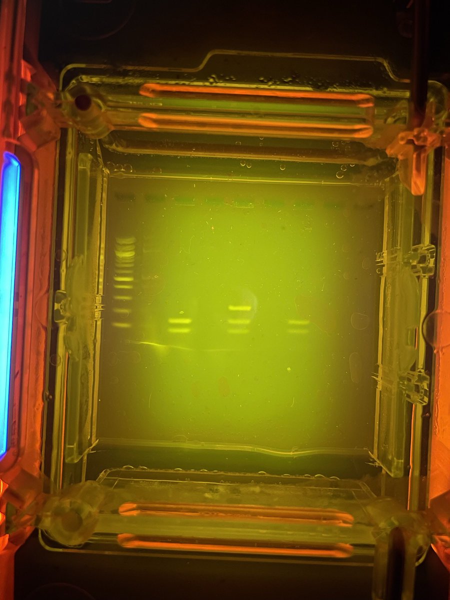 vanitavance's tweet photo. Completed the #tasterlab from @miniPCR today - what a wonderful experience for my #APBiology students @CSHighSchool! Our thanks to @Give2Kids for the grant & @miniPCR for such a great and easy to use platform!
#purplescience @coachmunson @J_Grimes00 @mike_martindale https://t.co/OqMylIoqu7