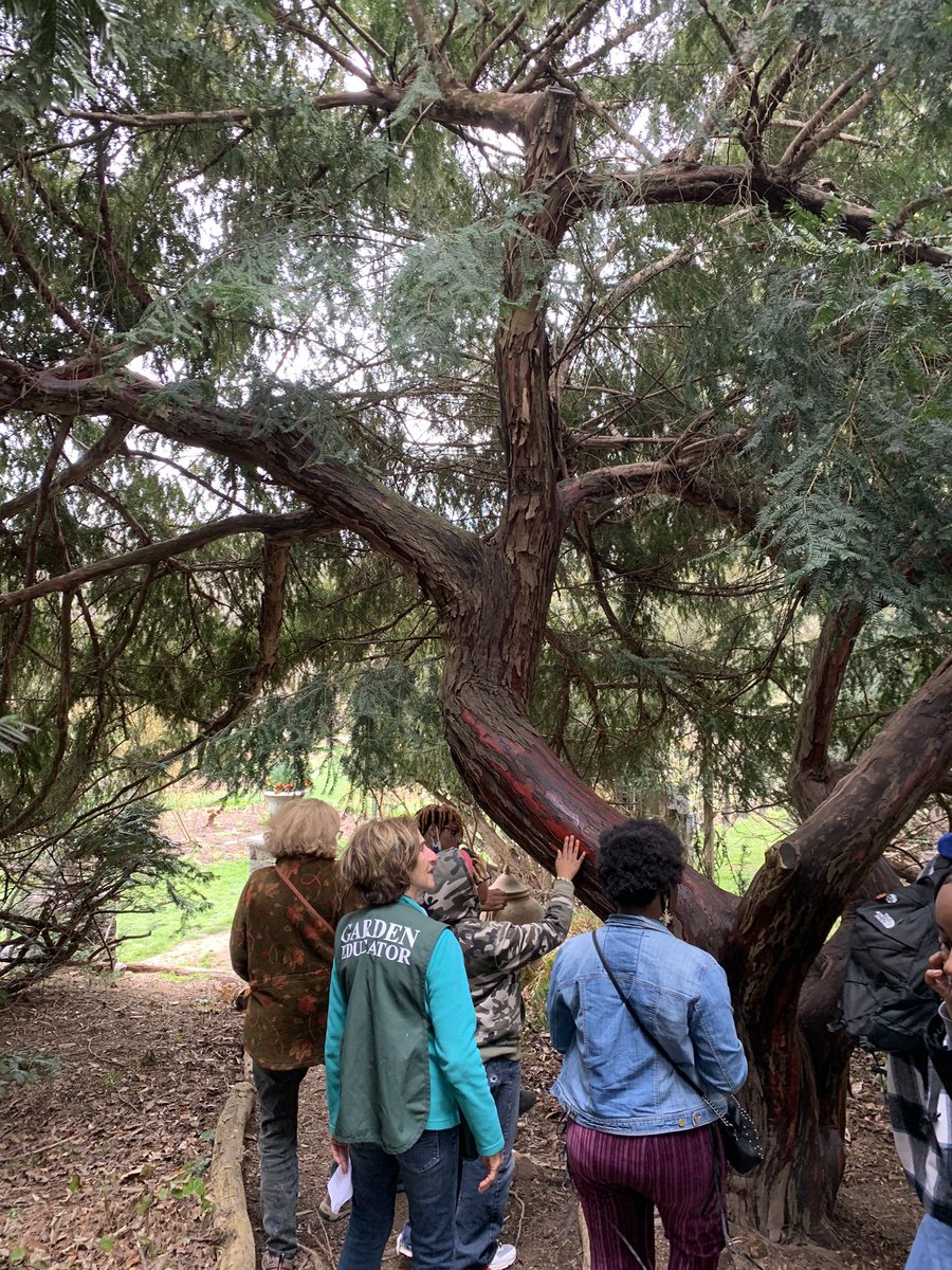 Riley Carter tweet media