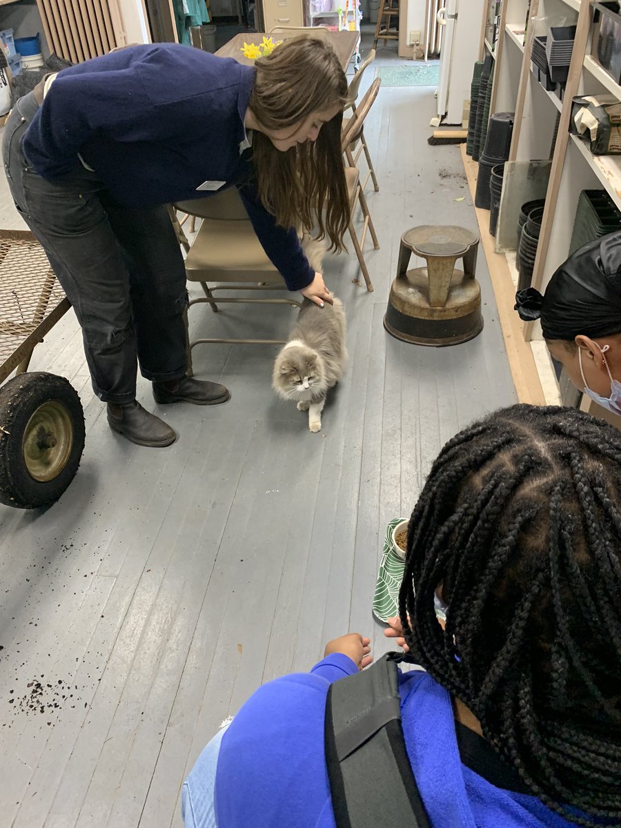 Riley Carter tweet media