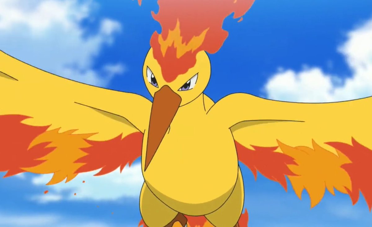 pokemonados's tweet photo. Qual a sua ave lendária favorita? 
#TeamZapdos #TeamMoltres  #TeamArticuno ?? https://t.co/GJk1zo3pfP