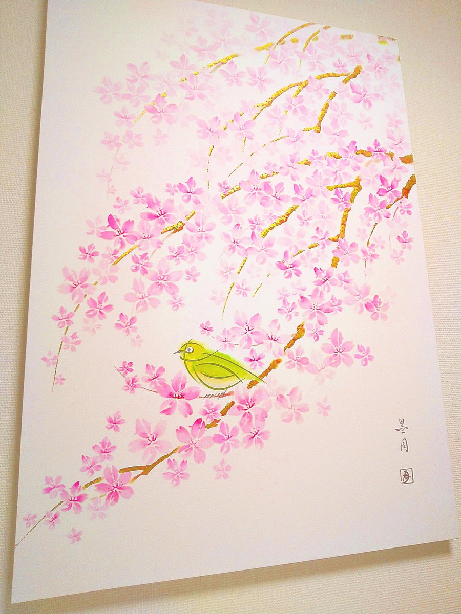 no humans cherry blossoms bird traditional media branch flower animal  illustration images