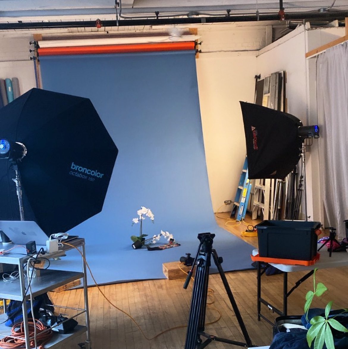 Studio311_ca's tweet photo. A busy day shooting @viasox products w/ @wesley_squared &amp; team! 📸🎥

#Studio311 // https://t.co/HM8PhlpTfw

#toronto #torontostudio #behindthescenes #torontophotographer #torontostudiorental #torontostudiospaces #torontoproduction https://t.co/oRZKf8za8l