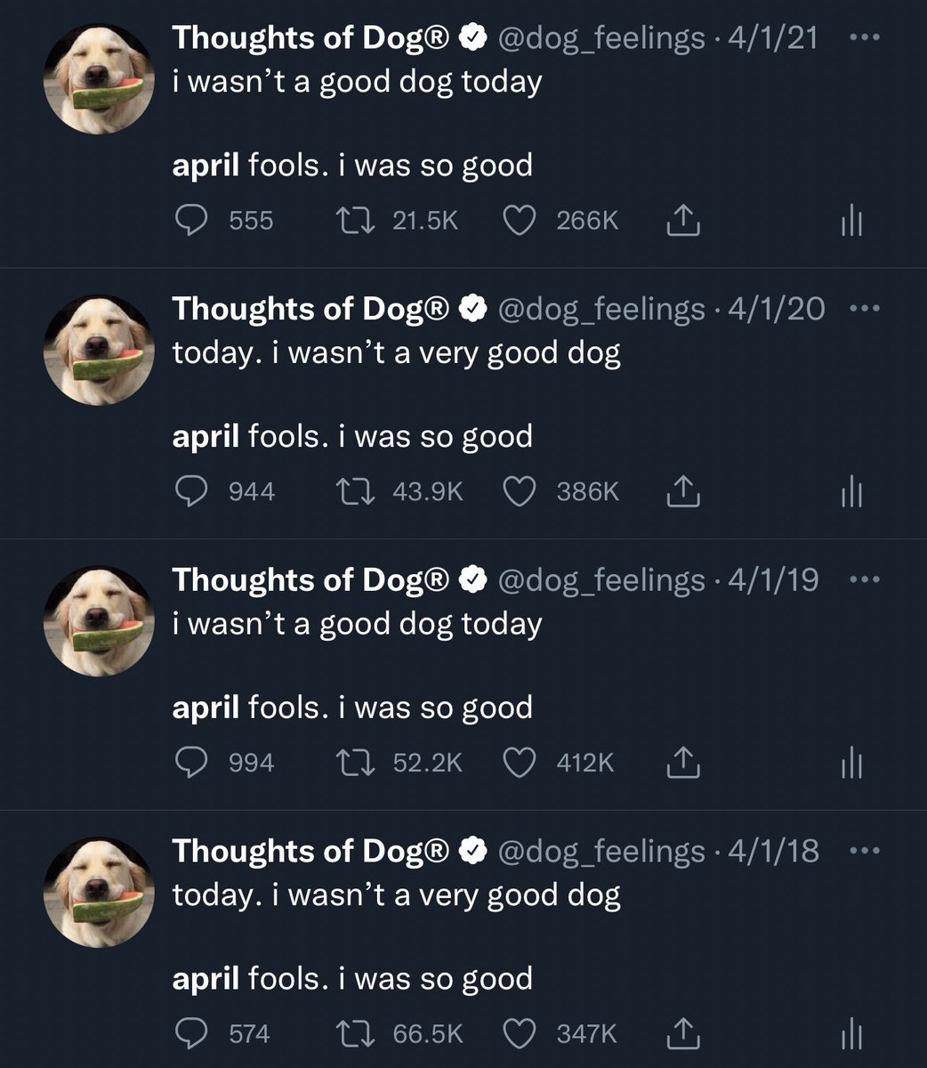 dogfather's tweet photo. big day tomorrow https://t.co/5Rktj9zcLc