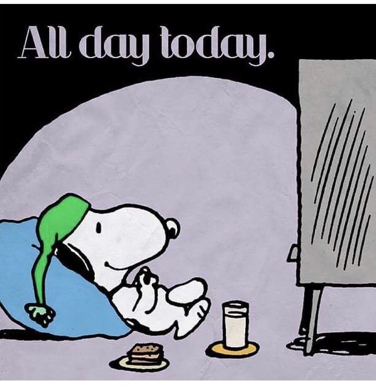 LeoEarthMonkey's tweet photo. Happy #AprilFoolsDay 😝😛😊
Unlike last year’s- which was a total mare- I’m spending the entire day #chillaxing and #overIndulging😉 
Wishing you a #FabulousFriday - hope it’s an enjoyable day for all, whatever you choose to do too ☺️😊😇🦋
#itsAhardHardLife 🤭  🦥  
😄😃😄😁🥃🦋 https://t.co/xIQyV1juih