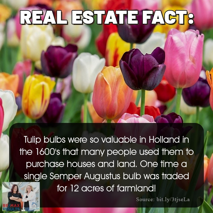 Tulips are popping up in flower beds around the metro! How are you landscaping this spring? 

#realestatehumor #topproducers #realestatelisting #omahahomesforsale #mortgagelenders #Homebuyers #realestateinvestors #omahanebraska #realestateagents #remax #remaxhustle #millardho...