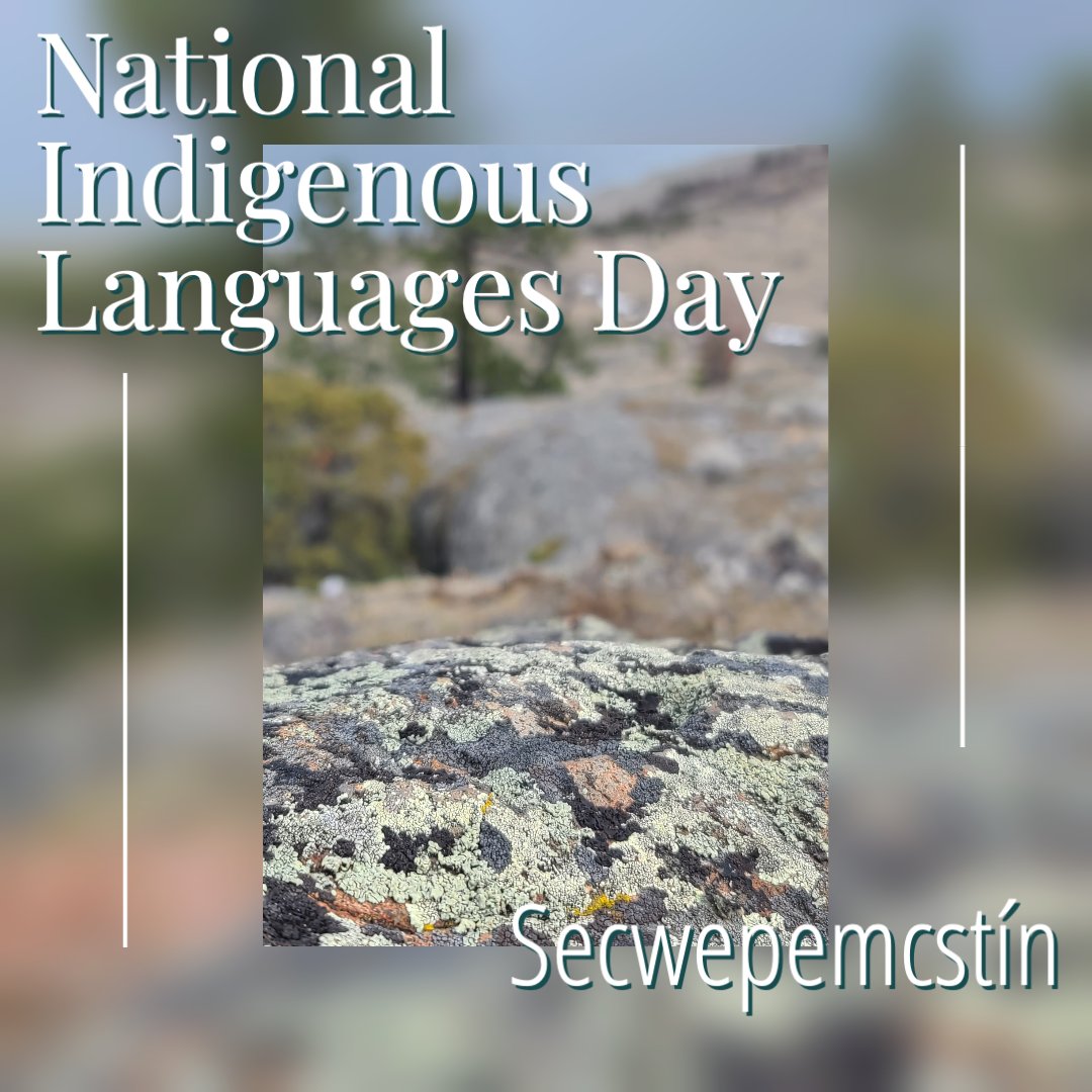 Today and everyday let's celebrate and honour all the Secwépemc speakers and the work being done to keep Secwepemcstín for future generations.

#LanguageIsMedicine #NationalIndigenousLanguagesDay #TeamSkú7pecen