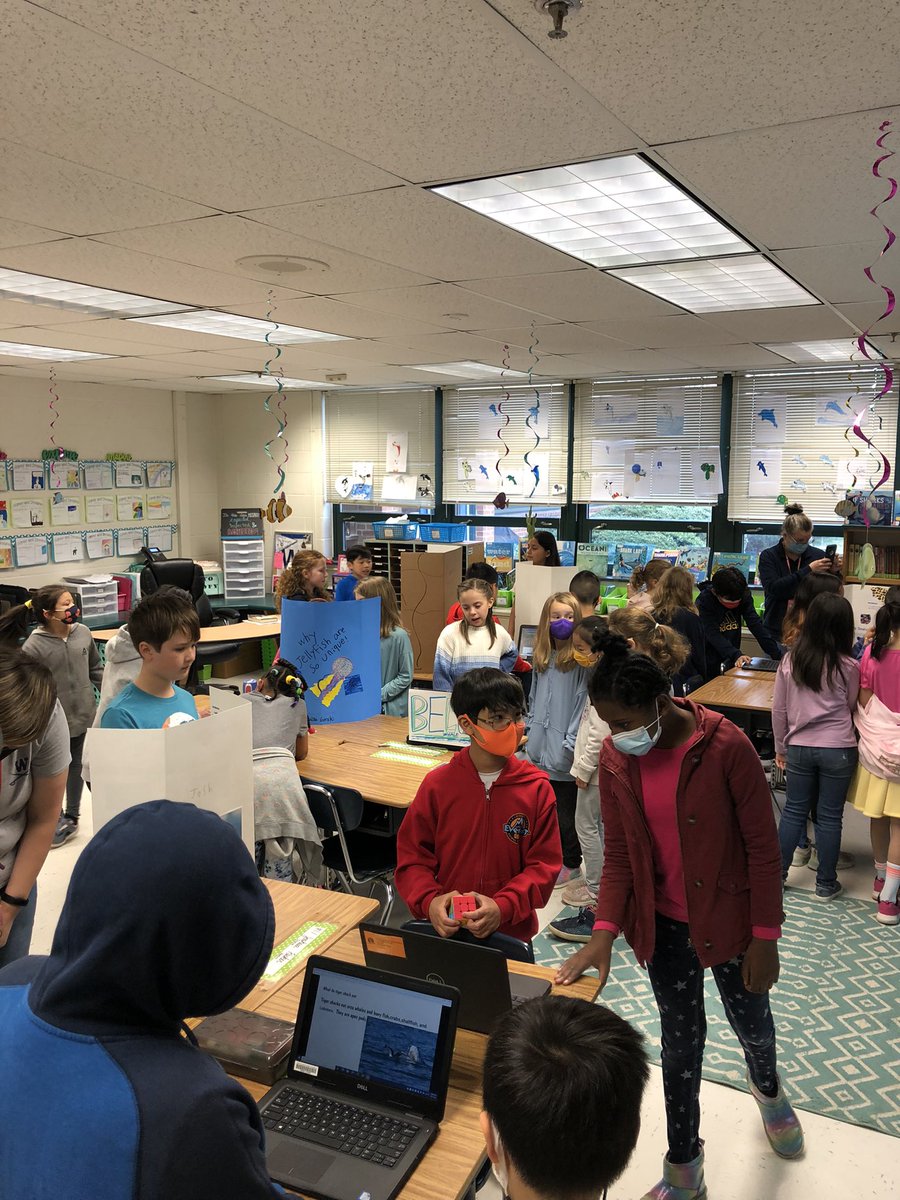 More ocean creature exhibits! @fairfax_villa