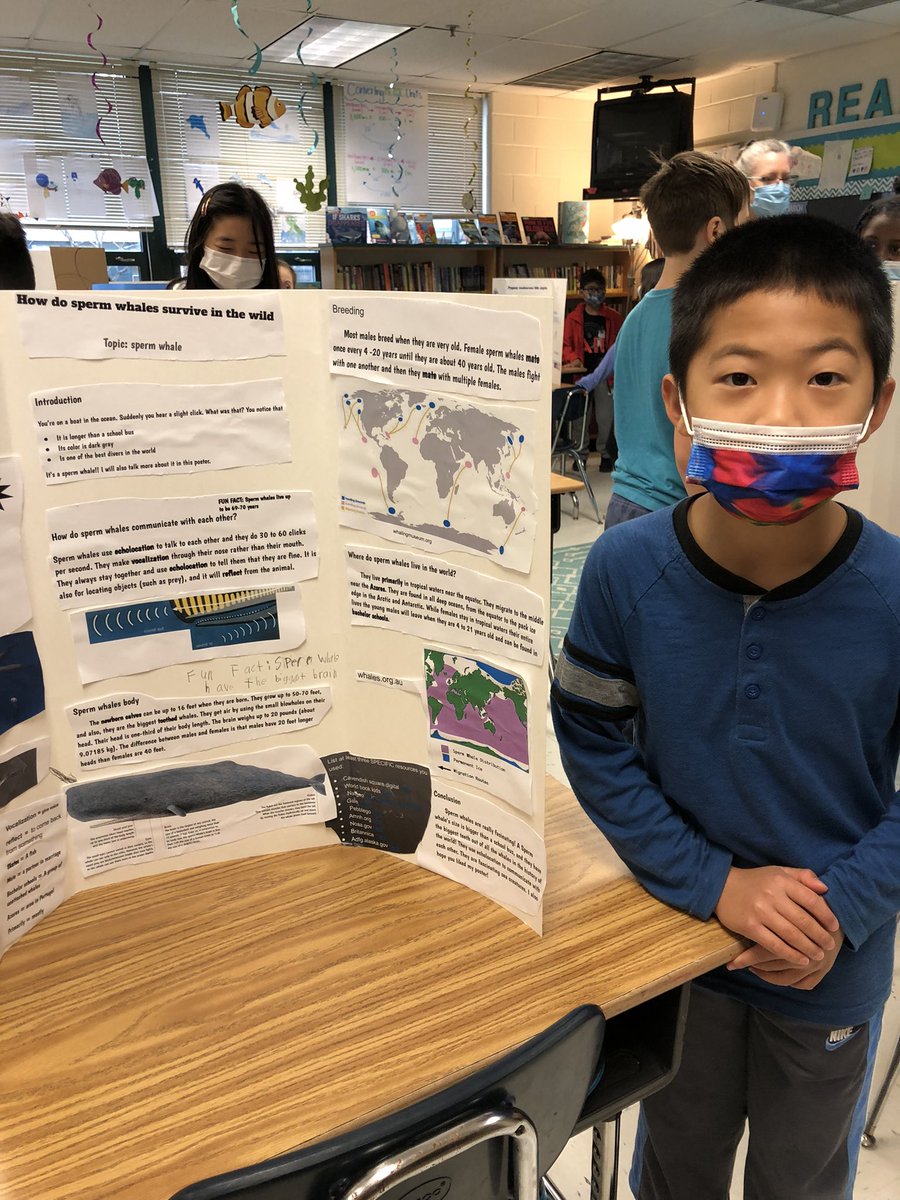 CanNOT stop thinking about our awesome morning sharing our ocean creature exhibits!! 😍🤩 #proudteacher #smallschoolbigheart @fairfax_villa 🐉 📚 🦈 🐠 🐙 🐳