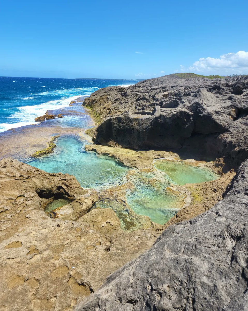 Sitemapcdatahttpautocellcare1comnatural Pools Of Manati
