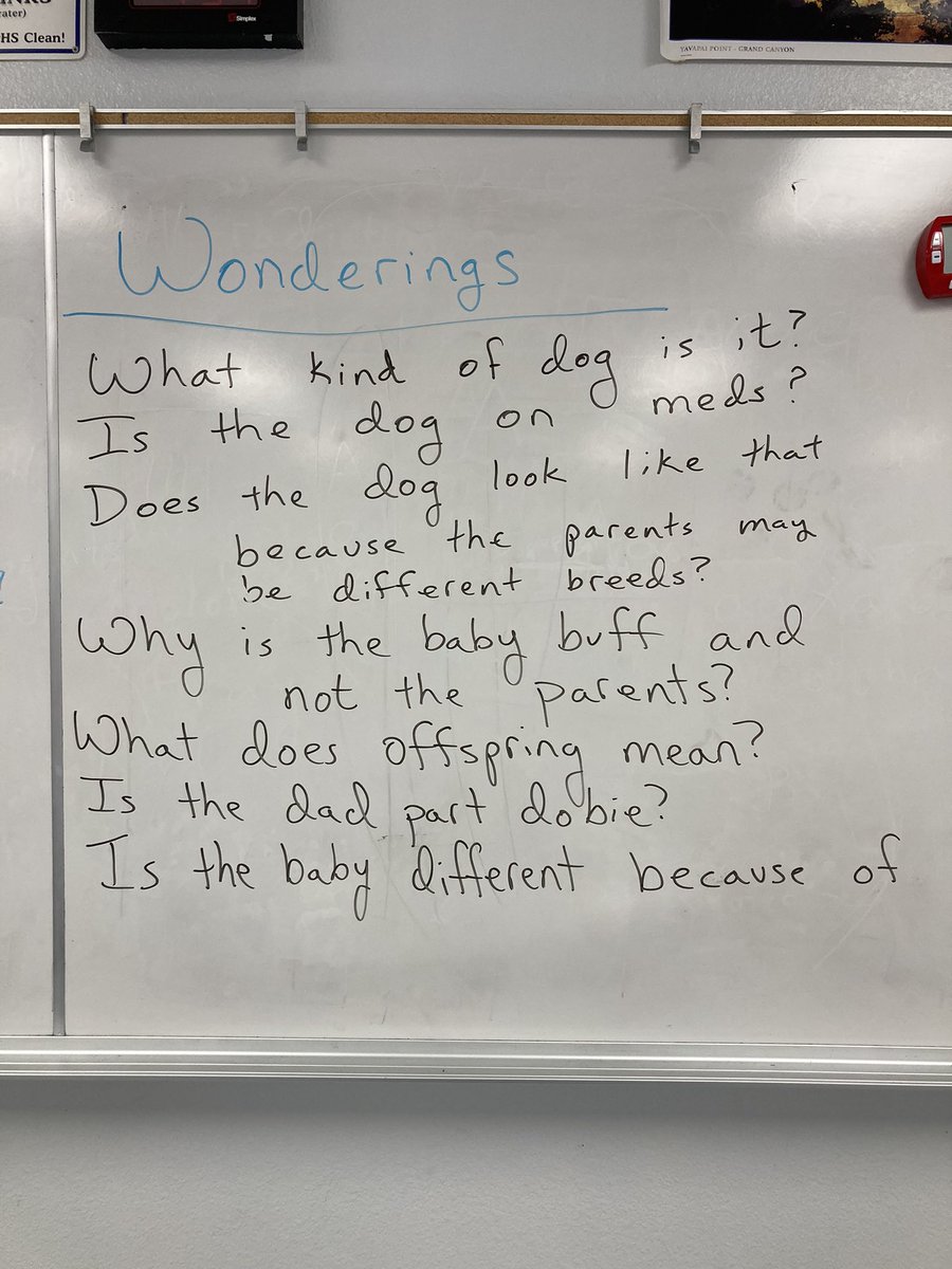 TanyaHofler's tweet image. Phenomenon-check, noticings/wonderings-yup, What we know list-yes, need to know list-got it! Combining #NGSS and #AmbitiousScienceTeaching. Love it!! @NGSSMadeMeDoIt @jhoyt689 @MartinCasas_