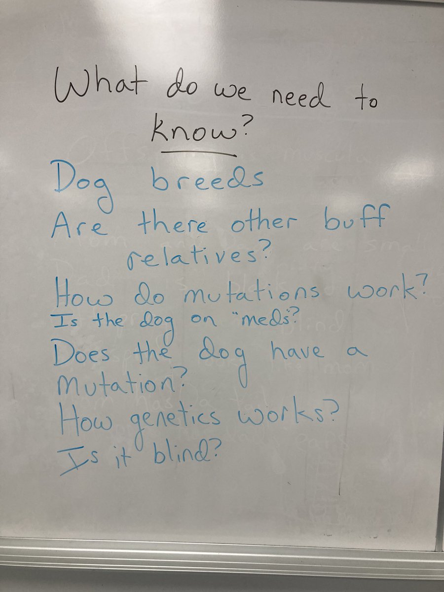 TanyaHofler's tweet image. Phenomenon-check, noticings/wonderings-yup, What we know list-yes, need to know list-got it! Combining #NGSS and #AmbitiousScienceTeaching. Love it!! @NGSSMadeMeDoIt @jhoyt689 @MartinCasas_