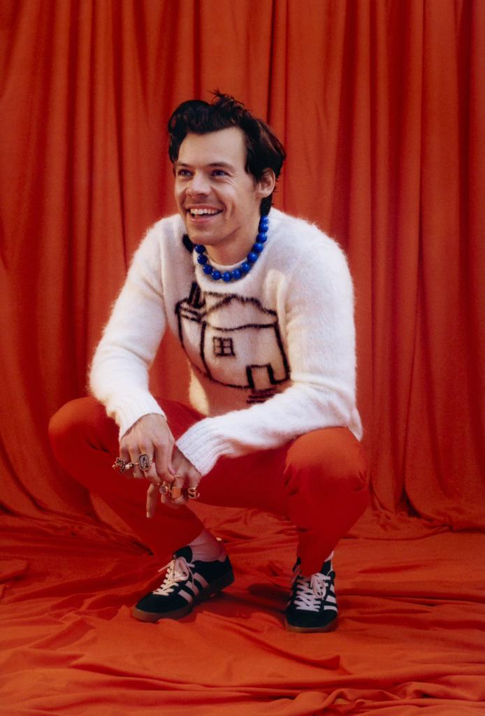 HarryArgHQ's tweet photo. ¡Nuevas fotos de Harry! ❤

#AsItWas #AIW #HarrysHouse https://t.co/GerSaBIs5e