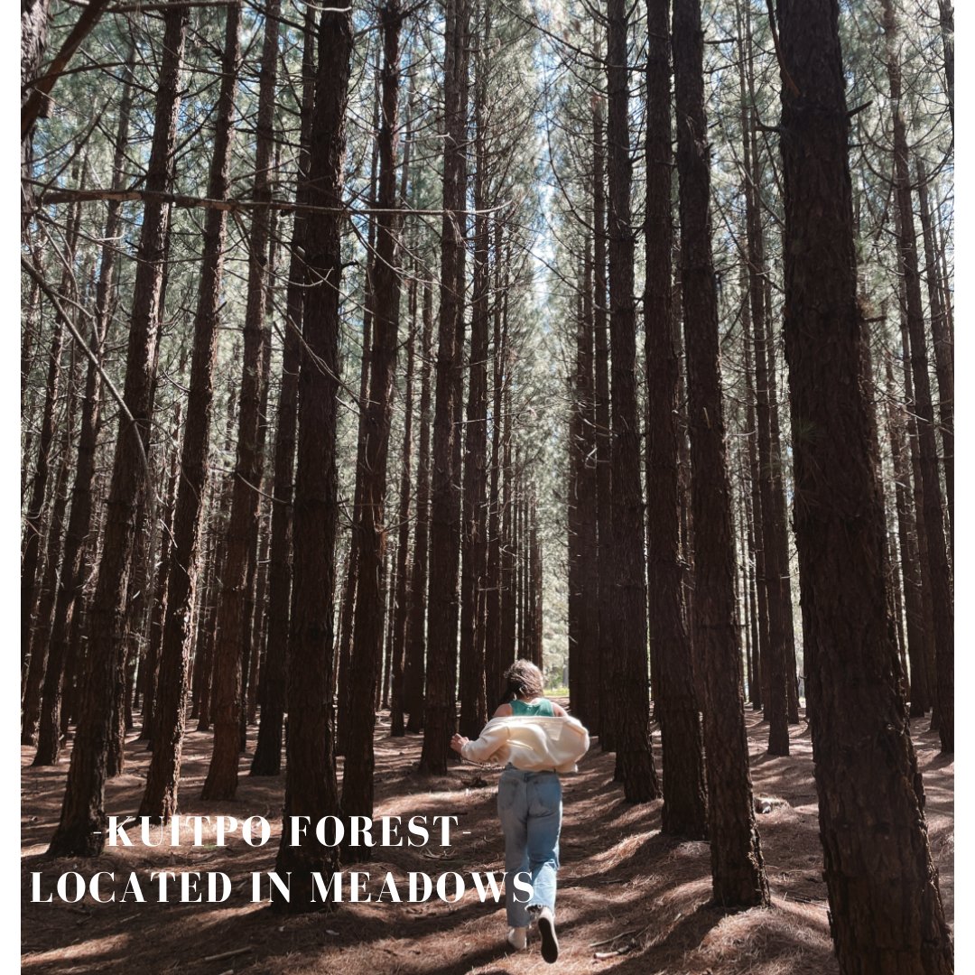 locatingSA's tweet photo. Kuitpo Forest - Meadows https://t.co/sjYpLFgrb5