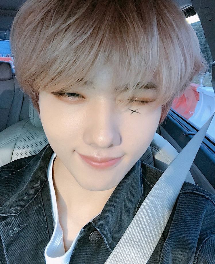 svtxtT_T's tweet photo. (｡•̀ᴗ-)✧ https://t.co/dFoPJ9e1hL