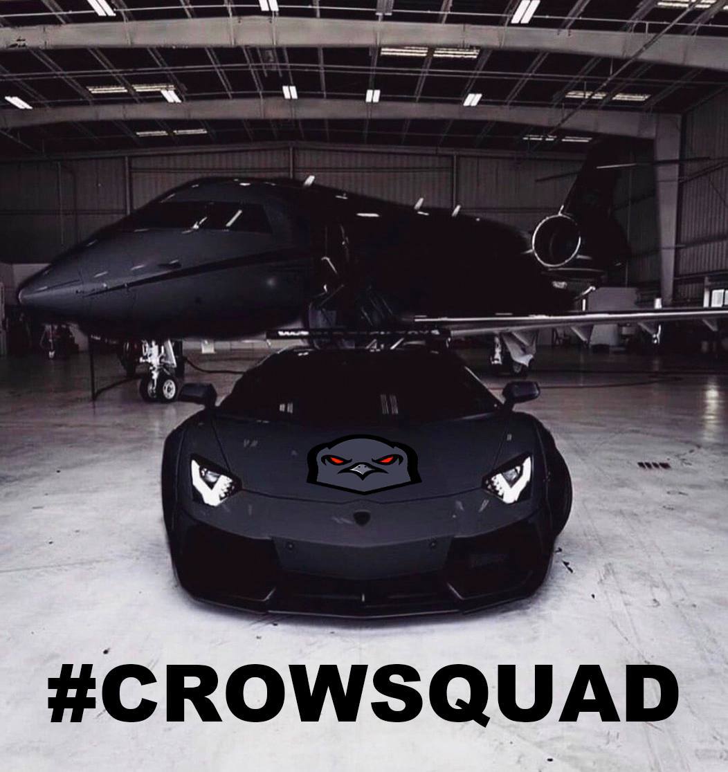 Ligmadoge's tweet image. The community at @CrowCoinCRO is insane. The fomo is insane. The memes are insane.
#Crowcoin #CrowSquad #CRO #memecoin