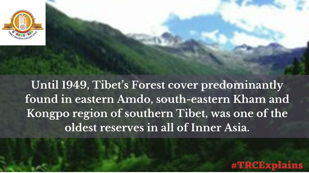 TibetCollective's tweet photo. Some scientists have compared #TibetanPlateaus known biodiversity to that of the #AmazonRainforest.
#SAveTibetEnvironment
@CultureTibet @TibetanReview @SamWalton @RepAndyLevin @RepMcGovern @tkdb10 @Lhatseri @tibetaction @tsamtruk @AllianceTibet @YeTibetXi @BAFoTTibet https://t.co/0FGPfrHuet