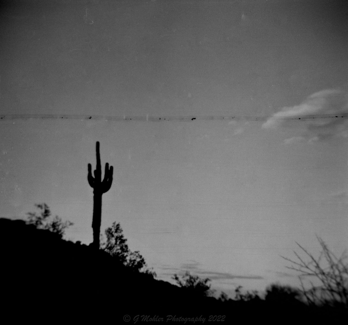 MohlerPhoto's tweet photo. Holga
@ShittyChallenge
#ShittyCameraChallenge #GetMono #believeinfilm https://t.co/qPXfF9c14w