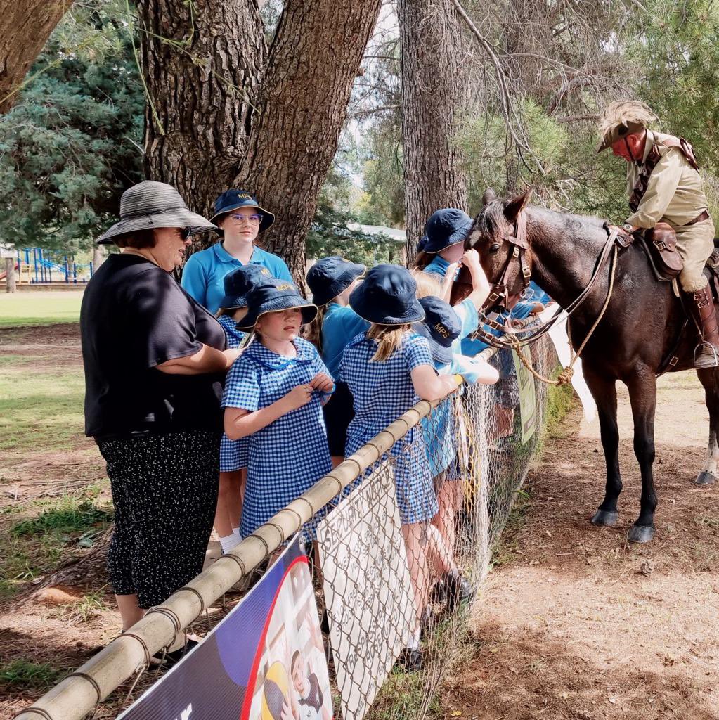 M_McCormackMP's tweet photo. The #Riverina Light Horse Committee Emu Plume Trek is in full swing, already taking in #Narrandera, #GrongGrong, #Matong, #Ganmain, #Coolamon and #Marrar, with #Downside & #WaggaWagga to come.
Please support its fund-raising efforts to erect a Light Horse tribute if you can. https://t.co/GKDS9t3sjJ