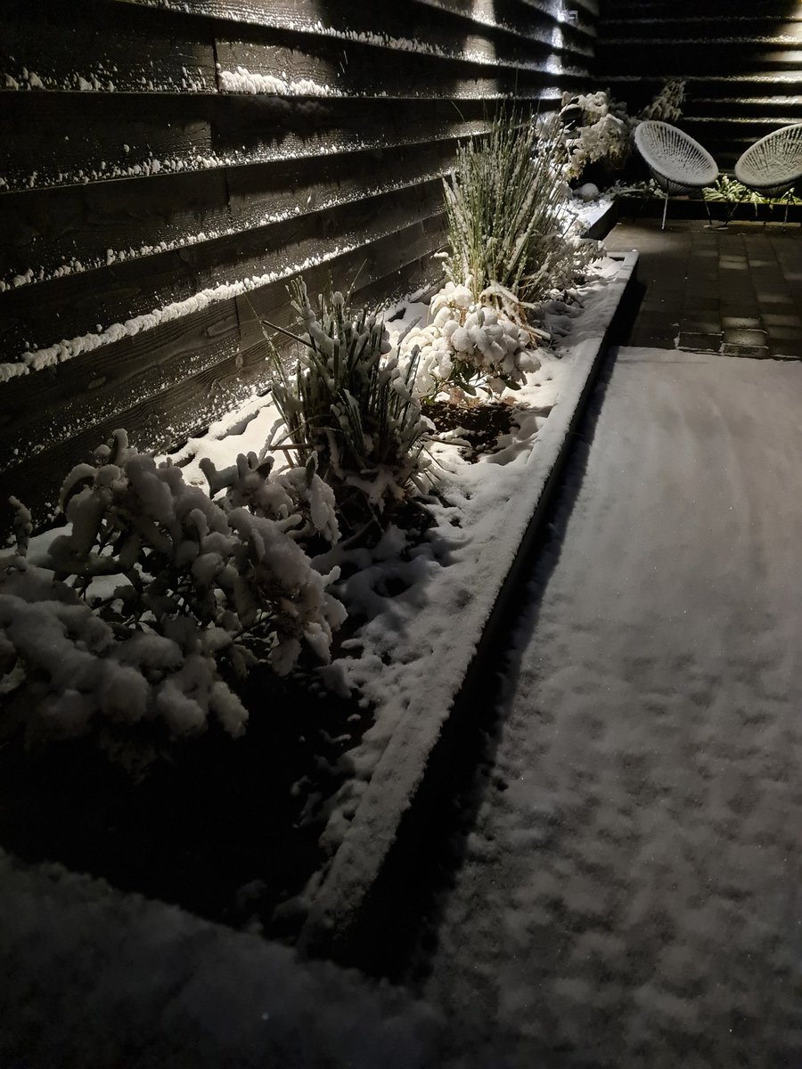 rvantwillert's tweet photo. 1 april sneeuw... geen grap 

#sneeuw #1aprilgrap https://t.co/8qsOoZ4rEc