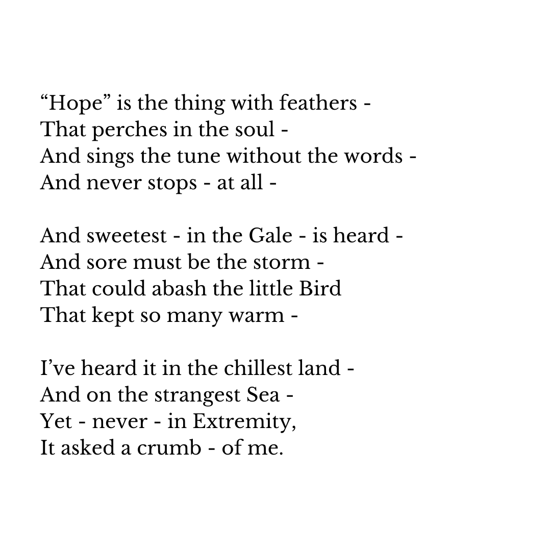 BosentEvents's tweet photo. ...❤#hope #birds #poetry  #emilydickson https://t.co/xJ5f16iZbX