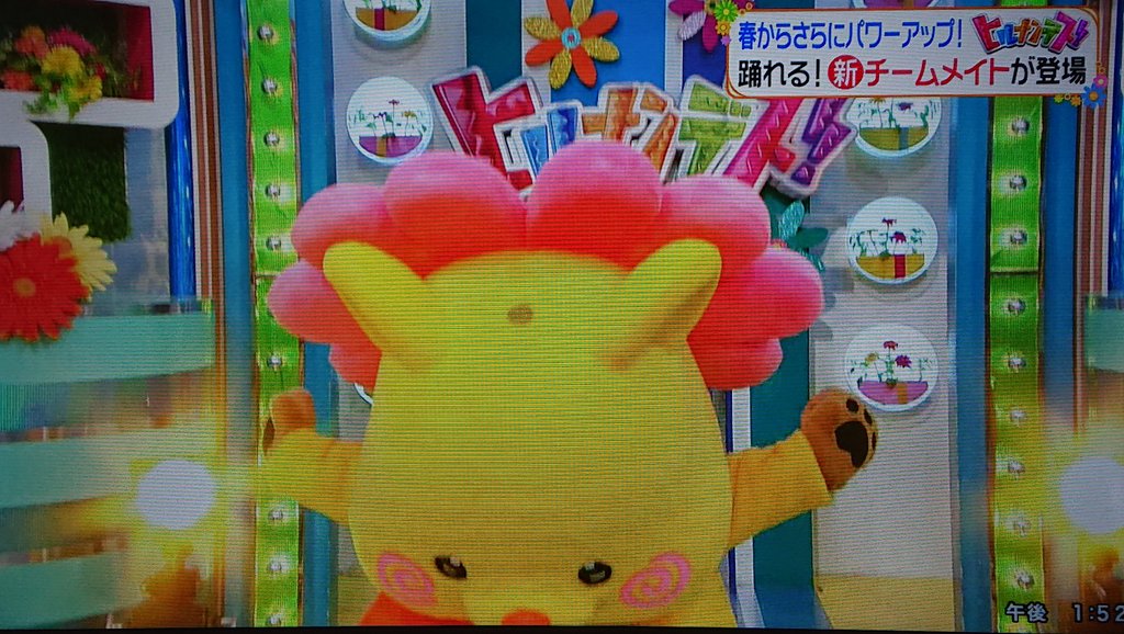 4月5日 ヒルナンデスで ハピナンデス が話題に 29ページ目 トレンドアットtv