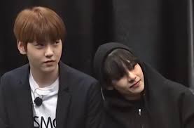 two breads in one frame