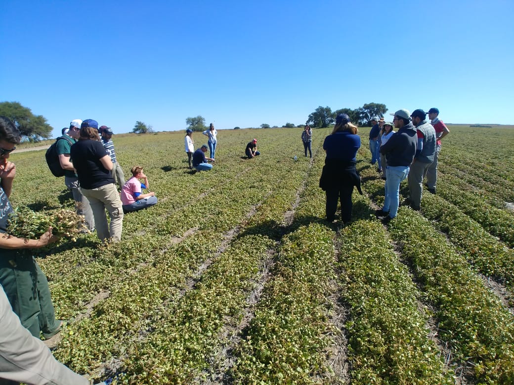 Marcelo Bongiovanni tweet media