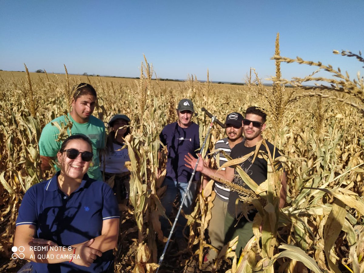 Marcelo Bongiovanni tweet media