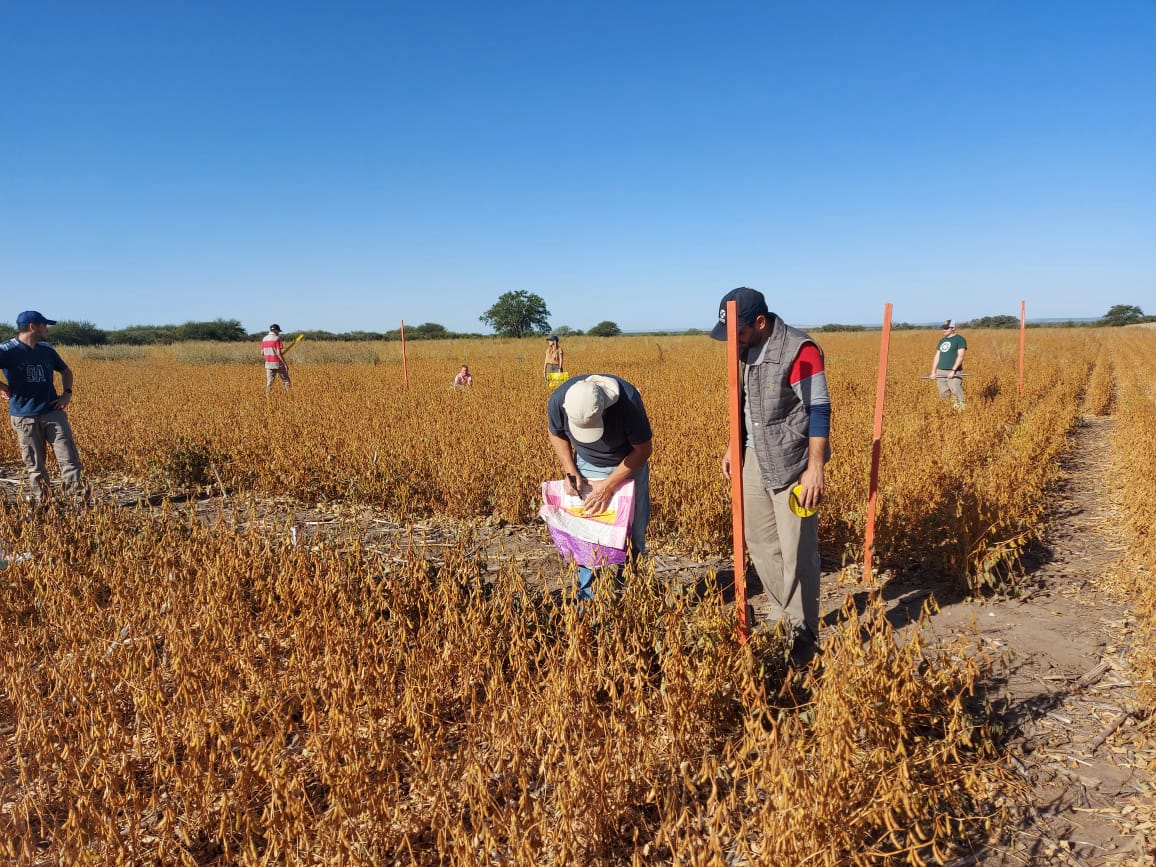 Después de la helada, a la tarde, hicimos la primer salida a campo con los alumnos de #cerealesyoleaginosas, de la <a href="/FICAUNSL/">Facultad de Ingeniería y Ciencias Agropecuarias</a> 
#agronomia
#fica
<a href="/juampiodetti/">Juan Pablo</a>
<a href="/noticiasUNSL/">UNSL</a>