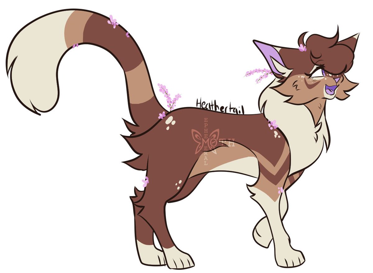 Ephemeral_Moth's tweet photo. more designs i finished today!
#warriors #warriorcats #kestrelflight #harestar #heathertail #graypool https://t.co/mn8IkpEY7k
