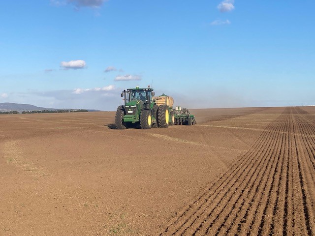 UMSeeds's tweet photo. Our Tassie Production Team sowing a new 44ha production field of UMS #Charlem Winter Active #Fescue with a 6M Great Plains Spartan triple disc drill on 18” row spacing. The wide rows will allow us to inter-row spray later in the year. #Production #Sowing #TasAg https://t.co/KyLtZ9hccK