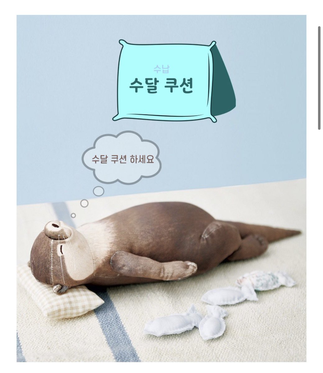 ₍ᐢ..ᐢ₎ 𝐘𝐄𝐃𝐀 tweet media