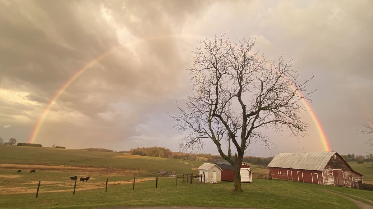 Kate Capodanno tweet media