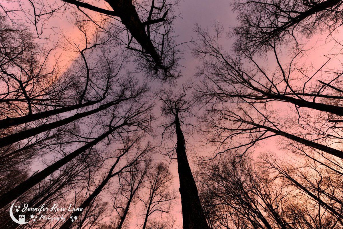 Jens_Starry_Sky's tweet photo. "If what's ahead scares you, and what's behind hurts you, then look up above." 💕 #LookUp #sunset #NakedTrees #WV @ThePhotoHour https://t.co/v3TeEhsCSY